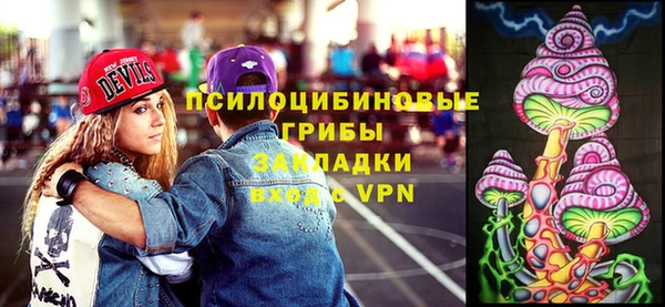 спиды Михайловка