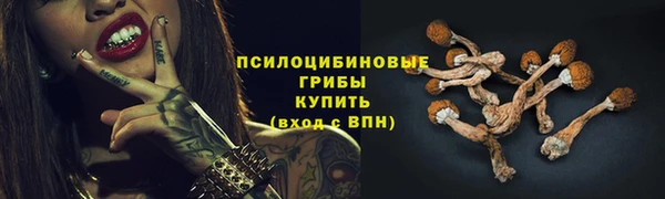 герыч Михайлов