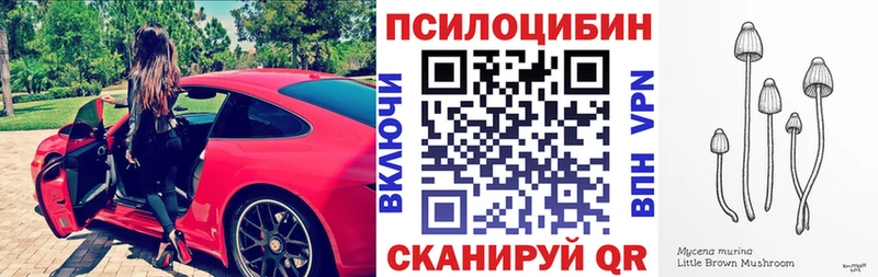 Псилоцибиновые грибы GOLDEN TEACHER  MEGA сайт  Туран 